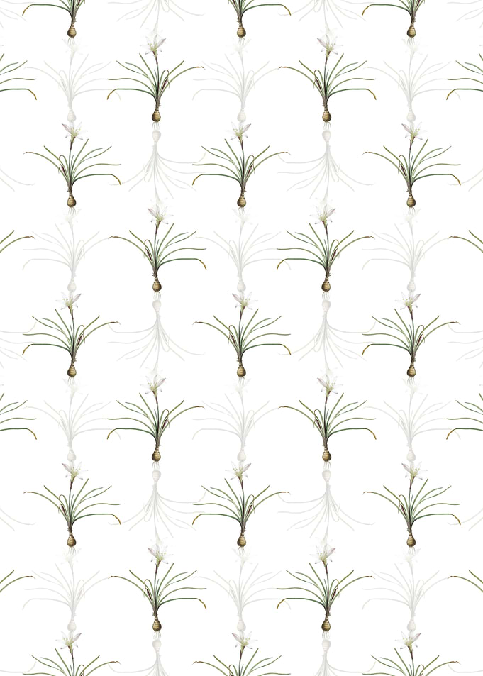Floral Rain Lily Pattern