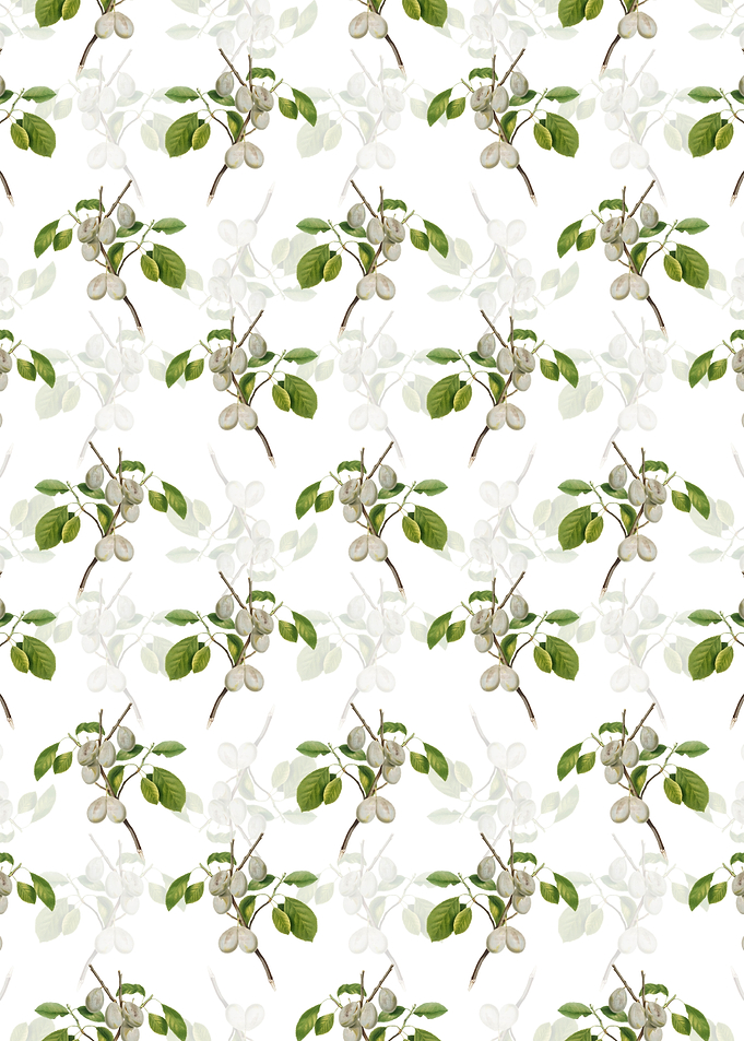 White Floral Plum Pattern