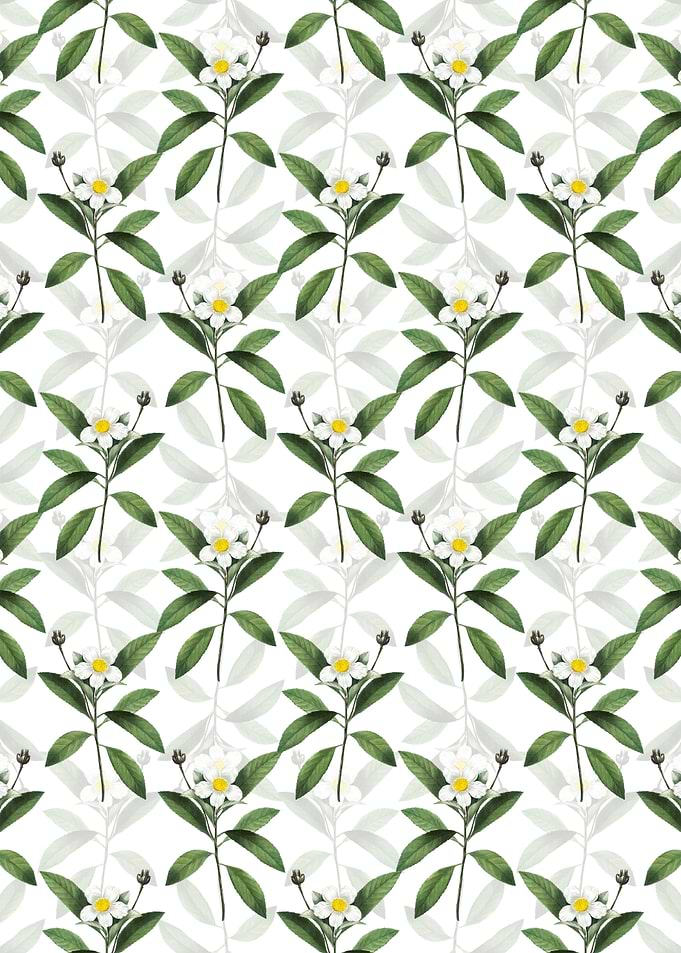 White Loblolly Bay Pattern