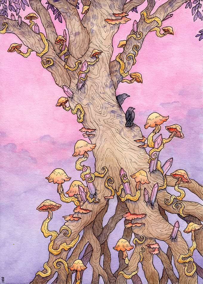 Crows Gaze