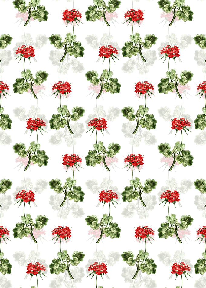 Scarlet Geranium Pattern