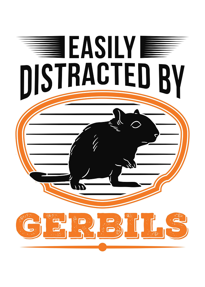 Gerbil Racing Rat