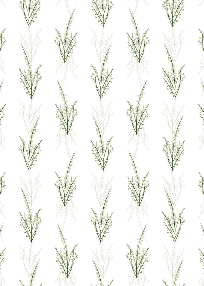 Floral White Broom Pattern