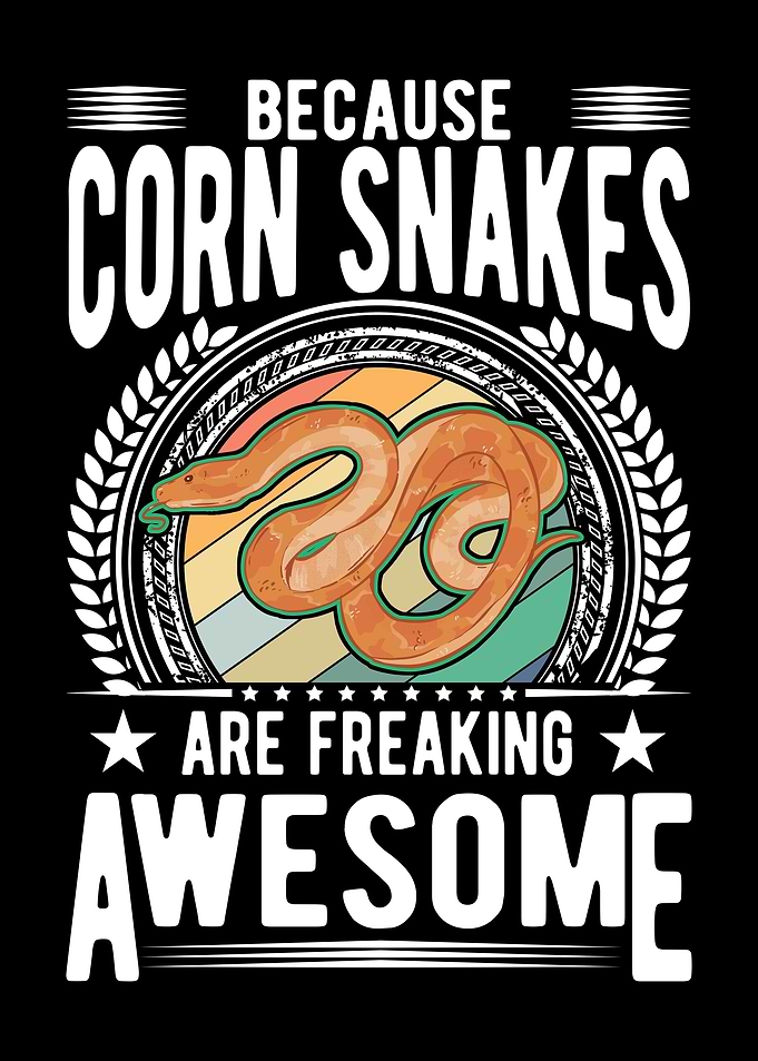 Corn Snake