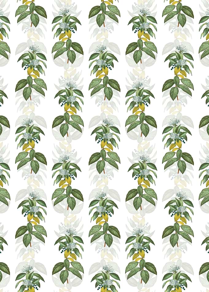 Floral Laurustinus Pattern