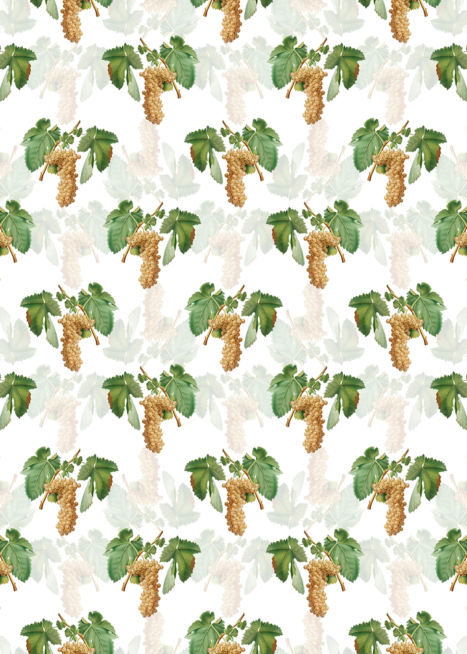 Trebbiano Grapes Pattern