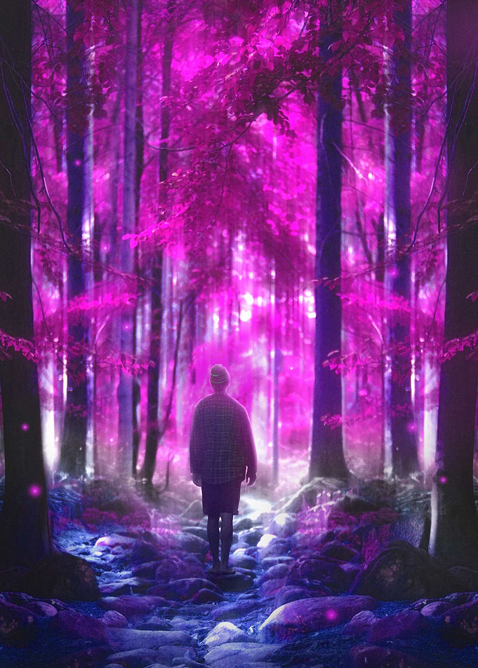 surreal forest