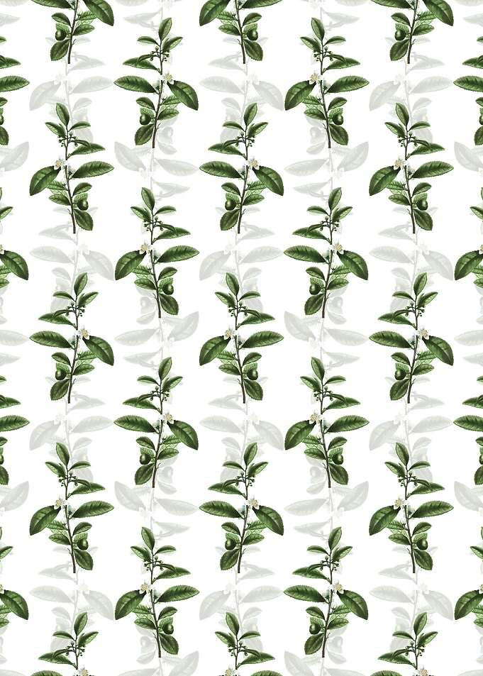 Floral Tea Tree Pattern