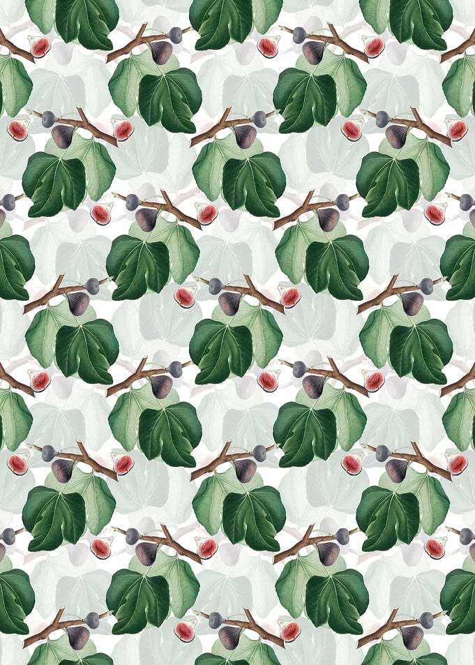 Floral Black Fig Pattern