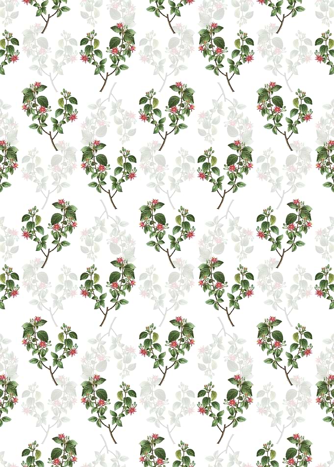 Floral Crossberry Pattern