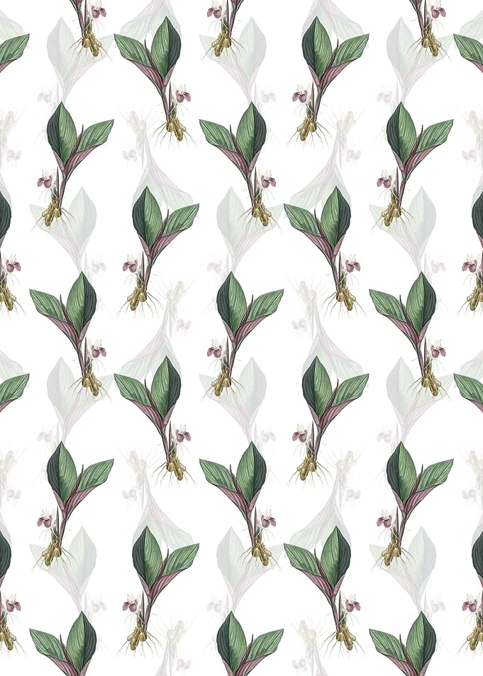 Koemferia Longa Pattern