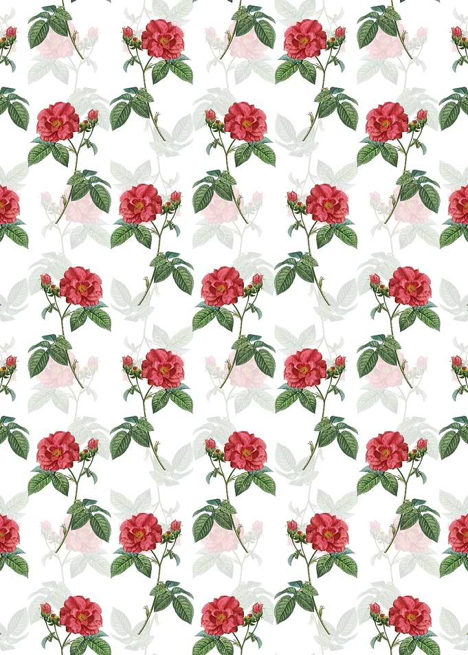 Apothecary Rose Pattern