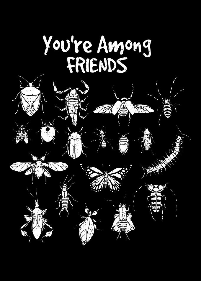 Youre Among Friends