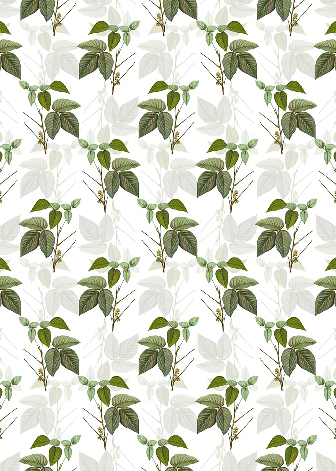 Eastern Poison Ivy Pattern