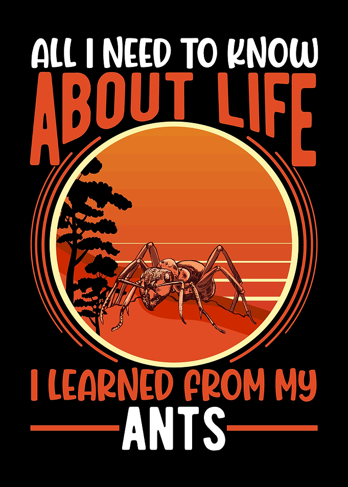 Ant Farm Ant Keeper