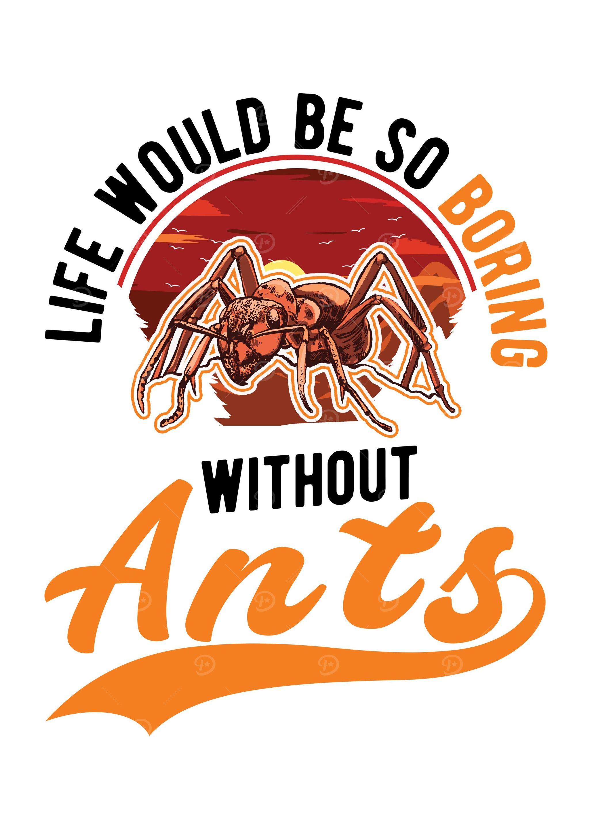 Ant Farm Ant Keeper