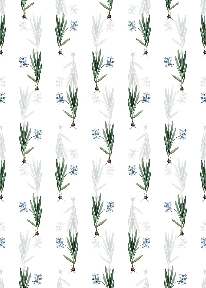 Gladiolus Plicatus Pattern