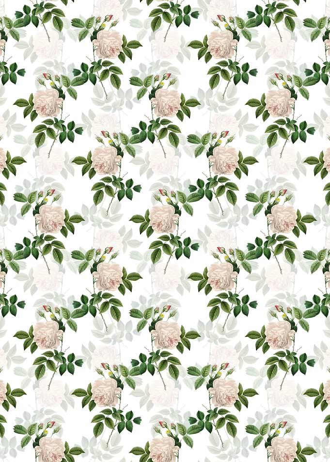 Floral Rosa Indica Pattern