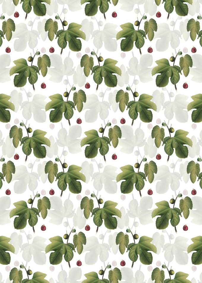 Briansole Figs Pattern