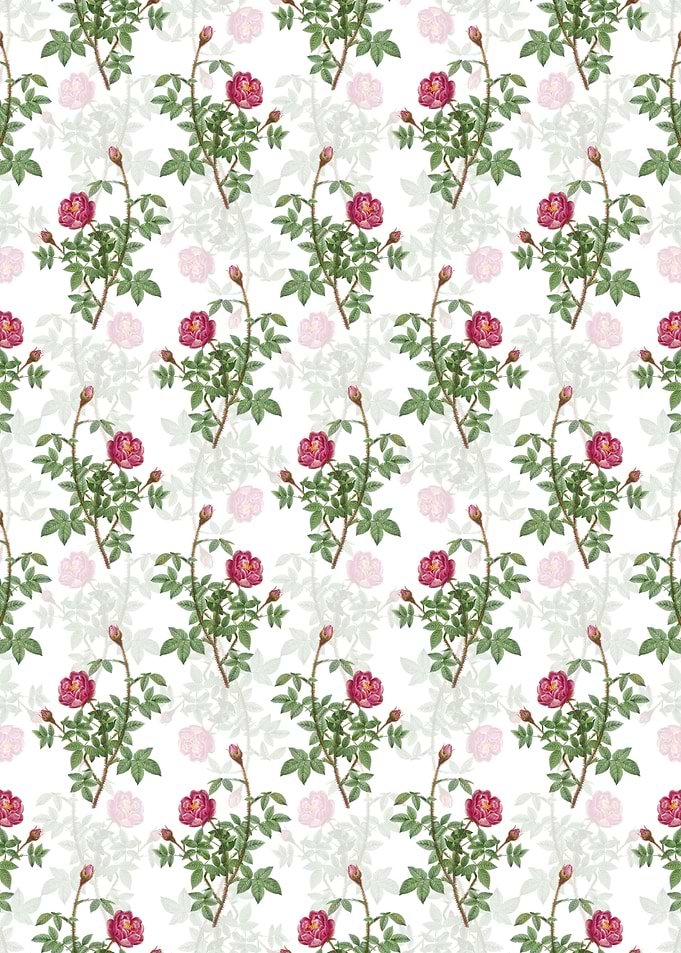 Floral Moss Rose Pattern