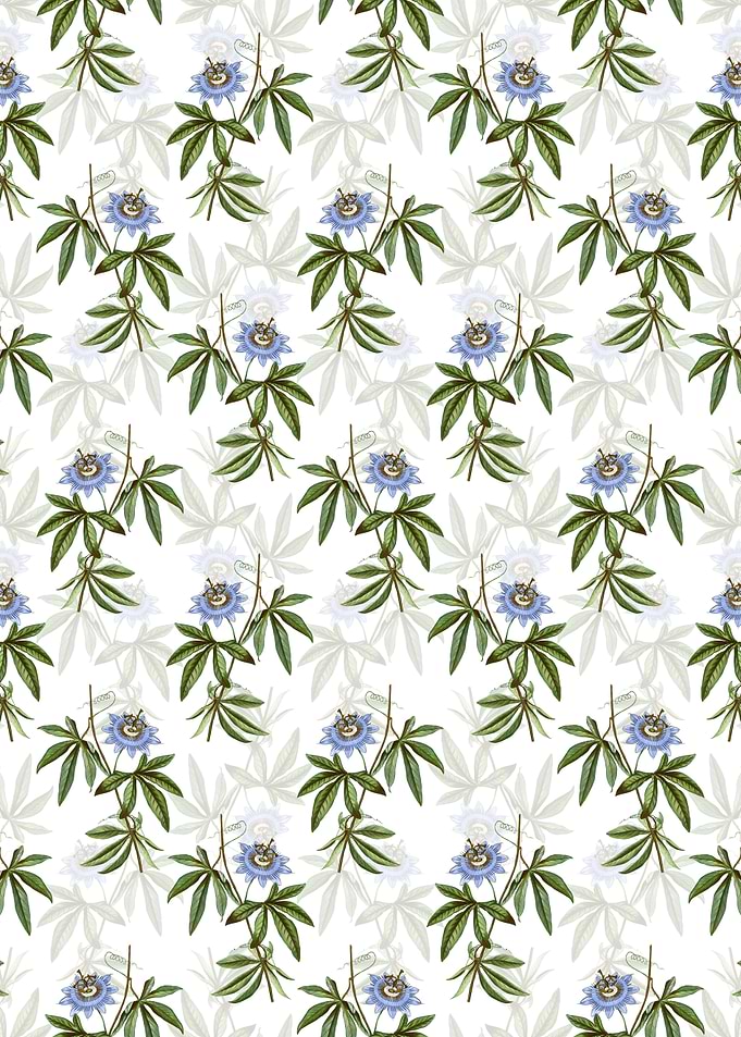 Blue Passionflower Pattern