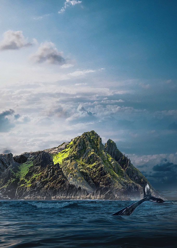 Whale Island