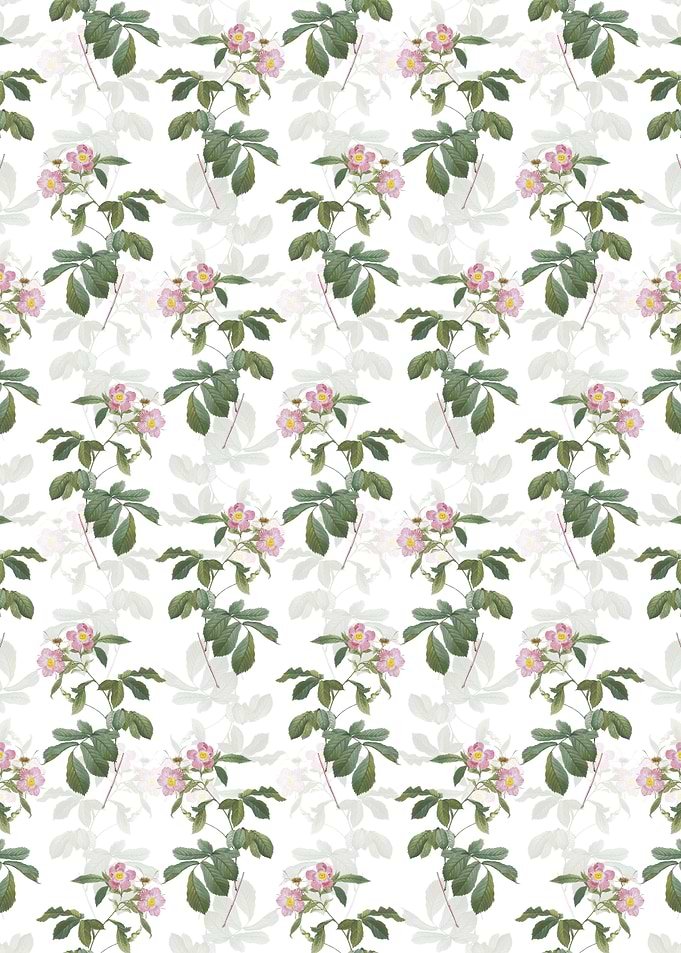 Pink Alpine Roses Pattern