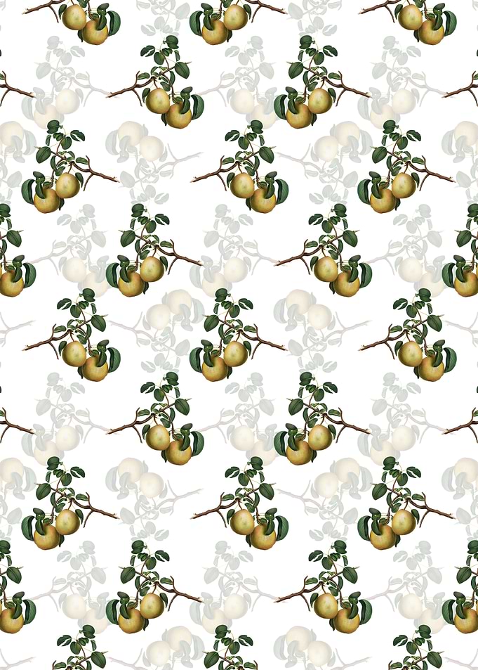 White Floral Pear Pattern