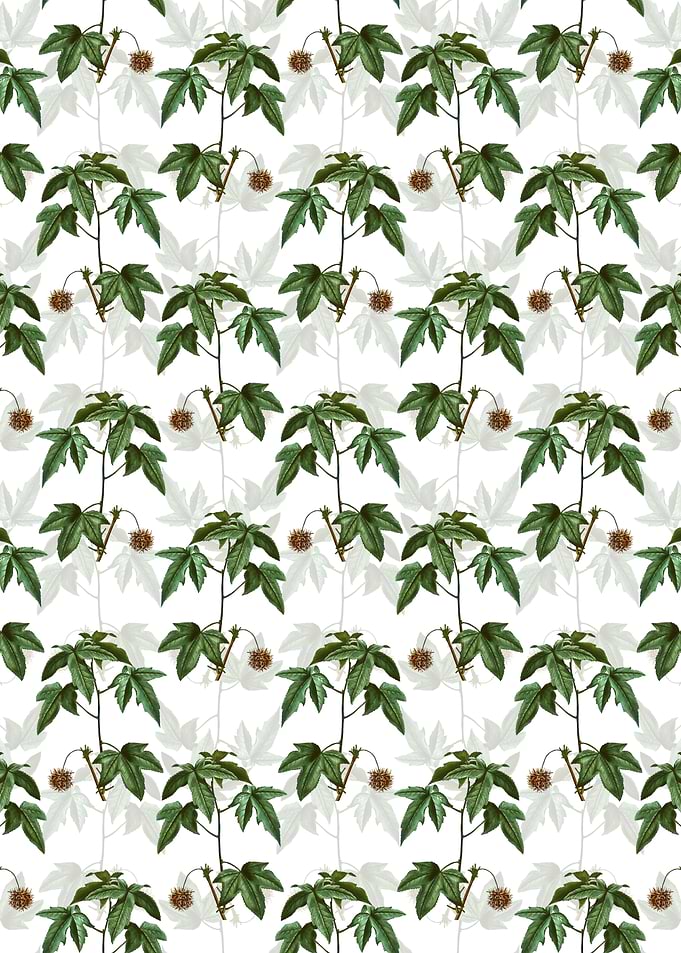 American Sweetgum Pattern