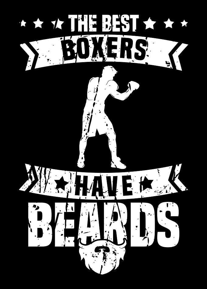 Boxing Boxer