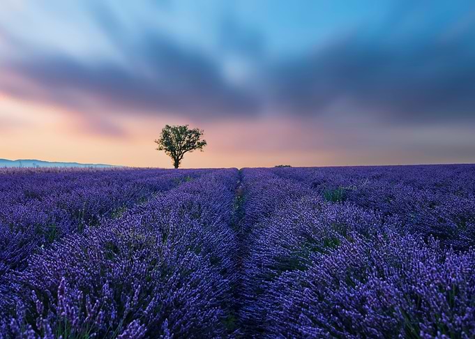 Valensole Plateau