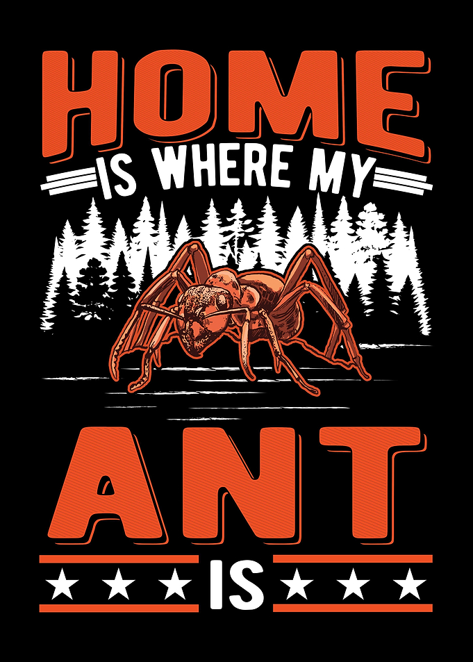 Ant Farm Ant Keeper