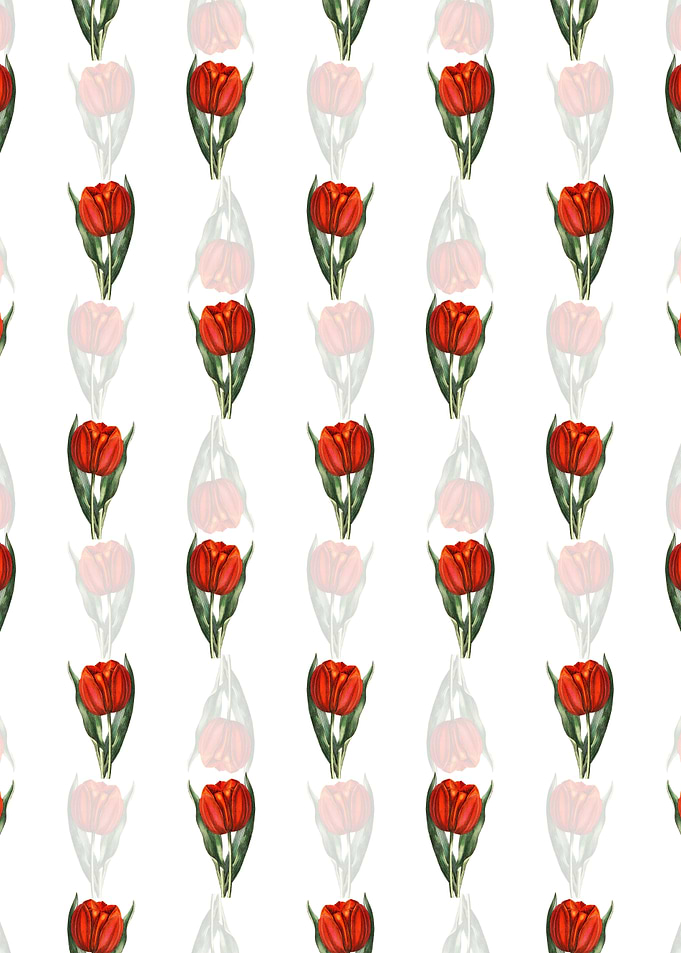 White Gesners Tulip Branch
