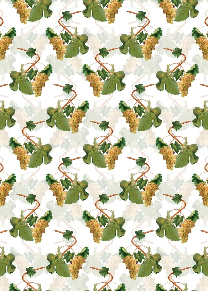 Vermentino Grapes Pattern