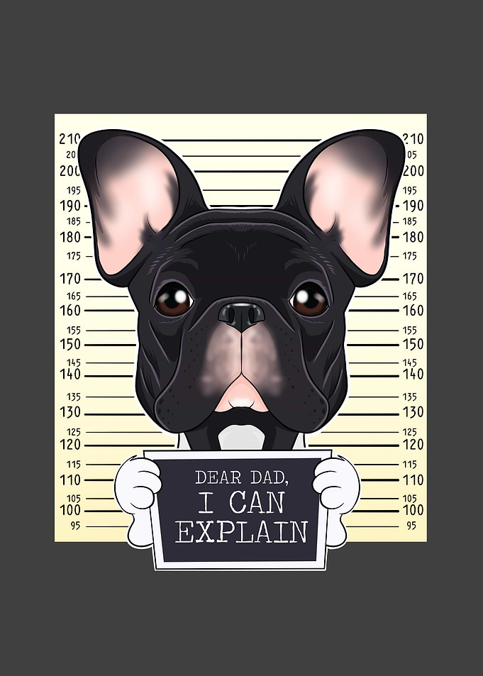 French Bulldog Dog Dad