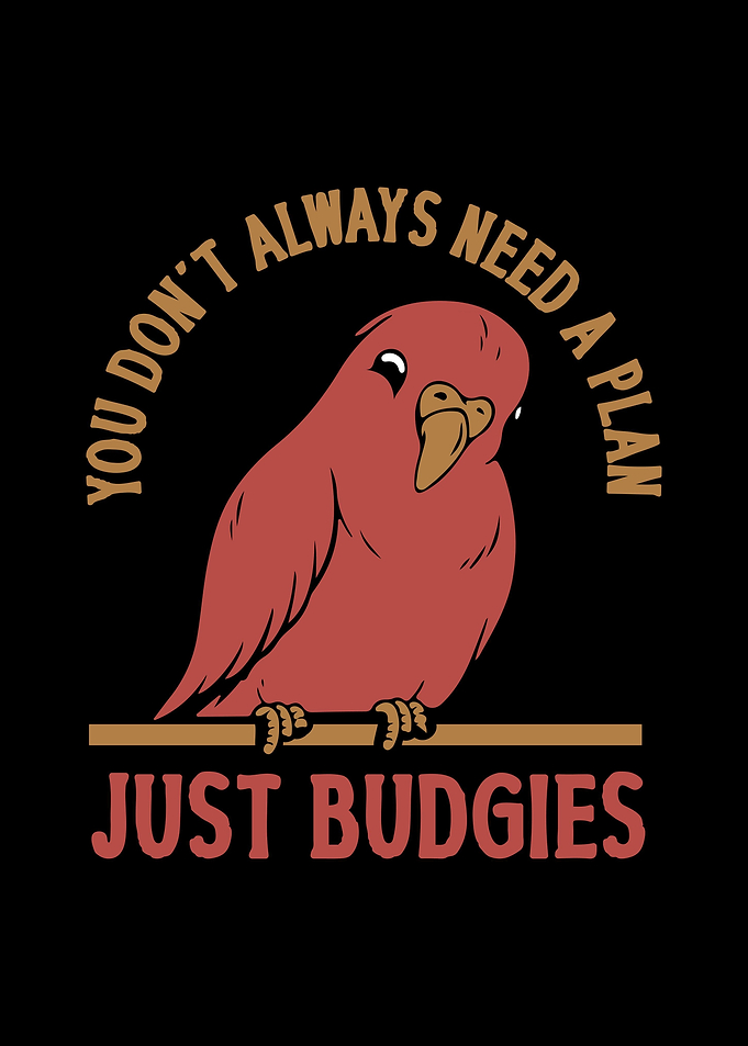 Budgie Budgeriga