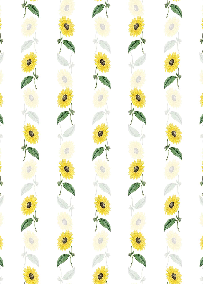 White California Sunflower
