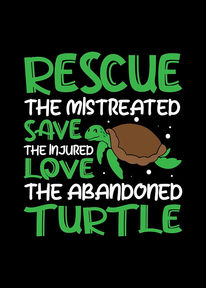 Sea Turtle