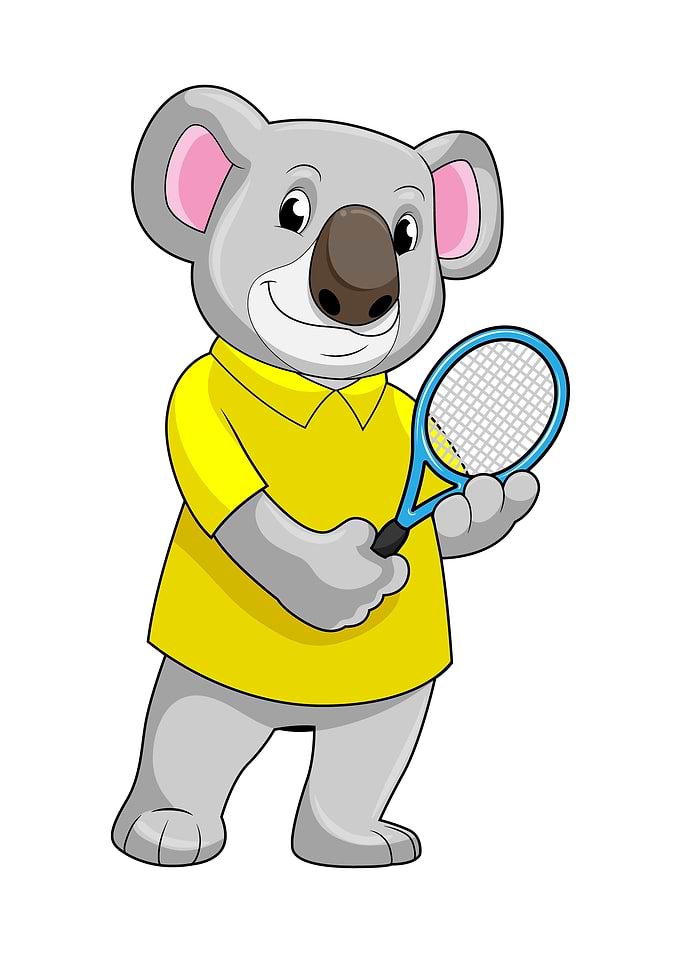 Koala Tennis Tennis racket
