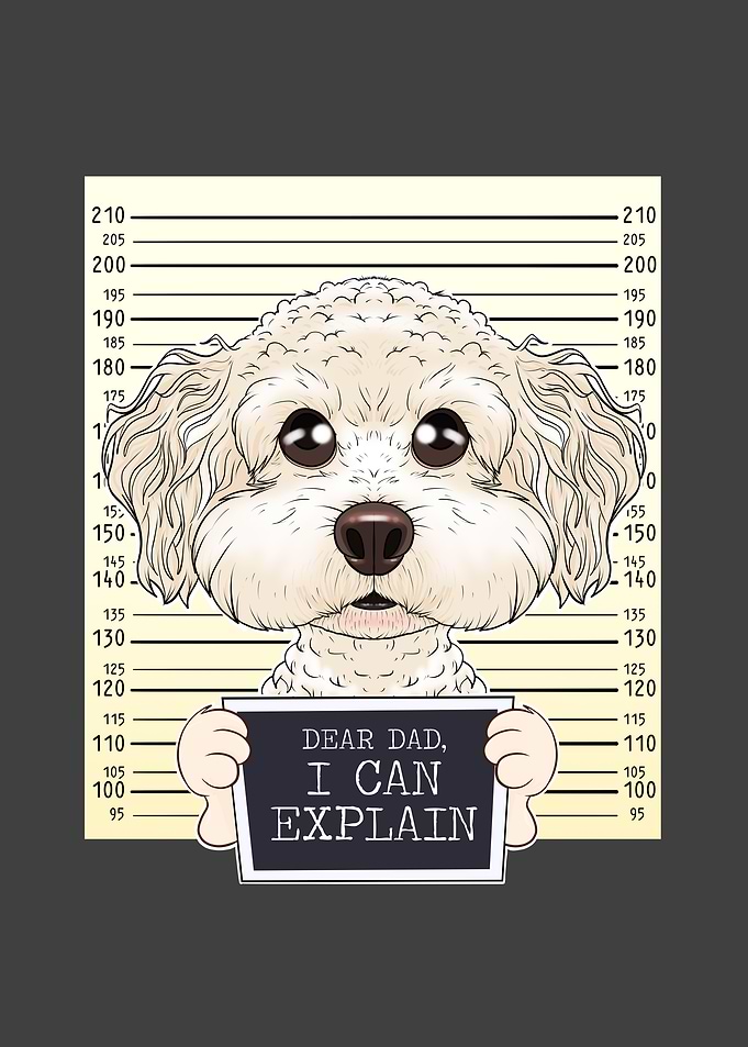 Bichon Frise Dog Dad