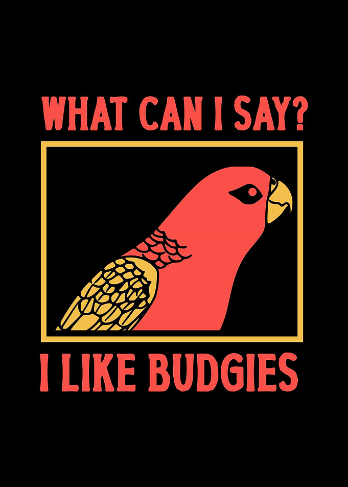 Budgie Budgeriga