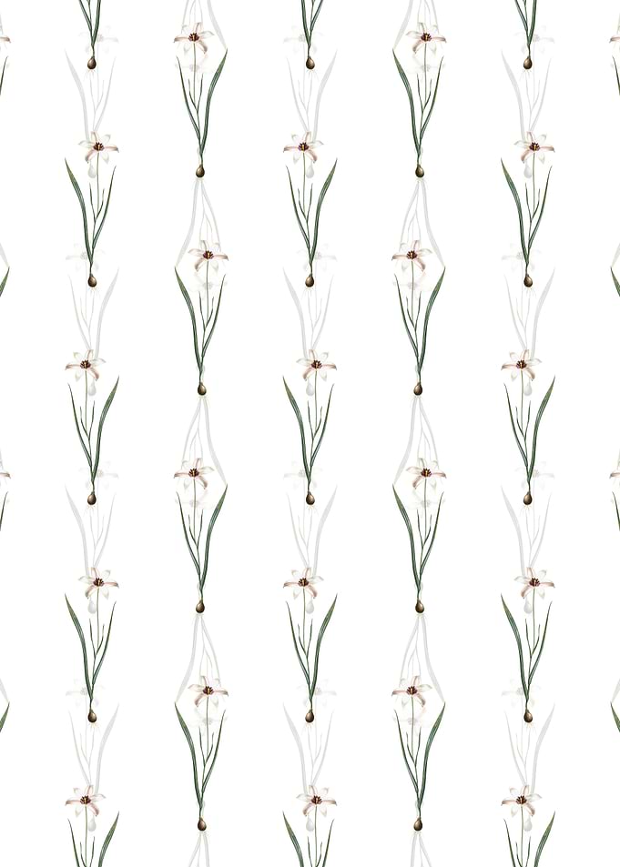 Floral Lady Tulip Pattern