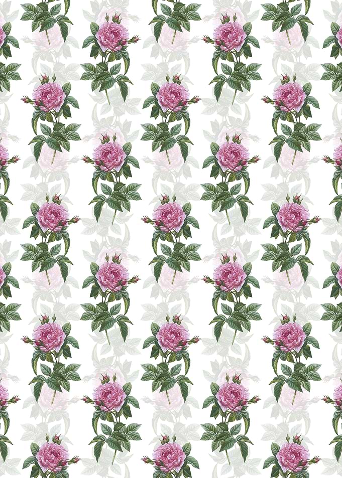 Pink French Rose Pattern