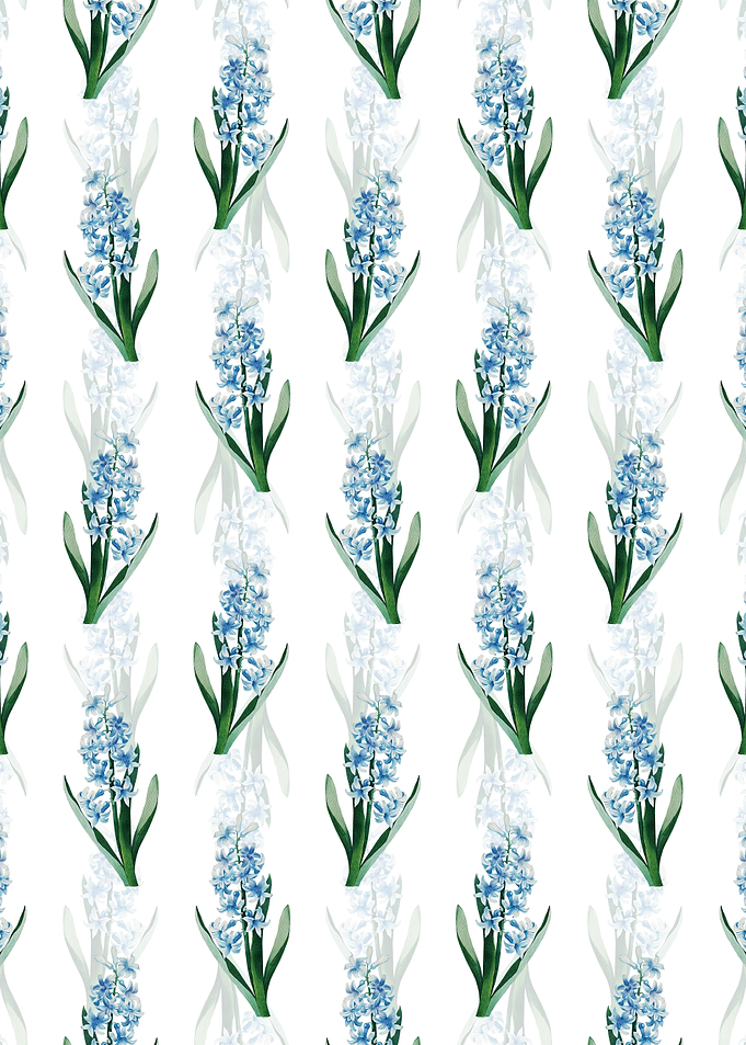 Dutch Hyacinth Pattern