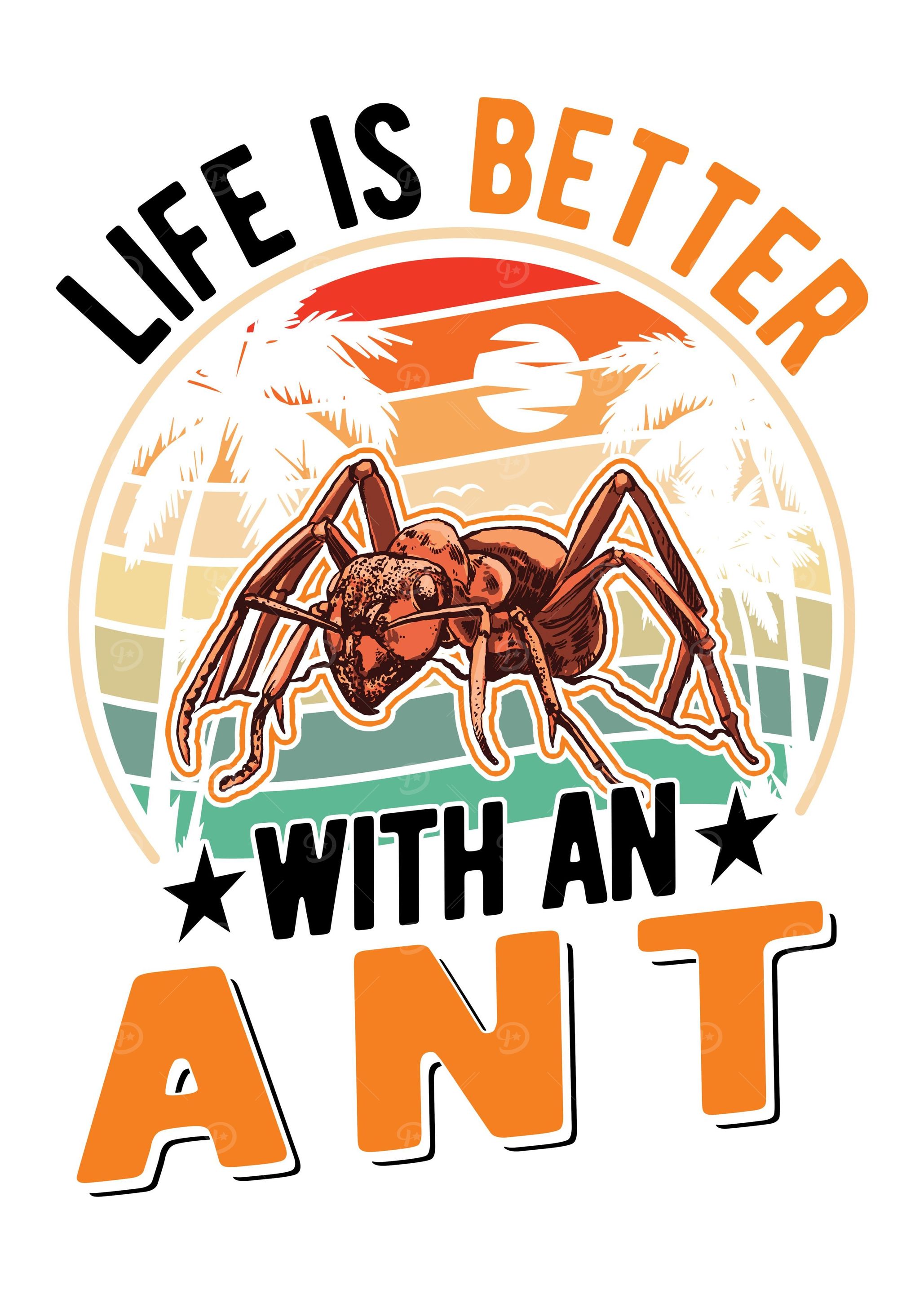 Ant Farm Ant Keeper