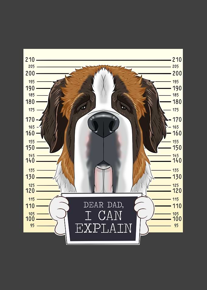 Saint Bernard Dog Dad