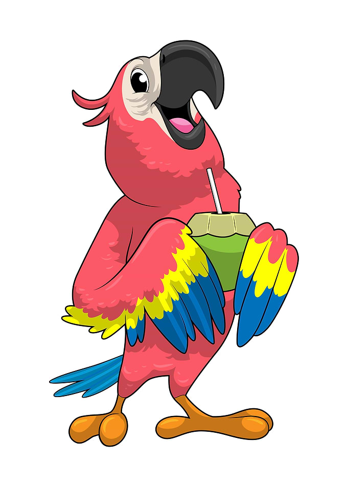 Parrot Coconut