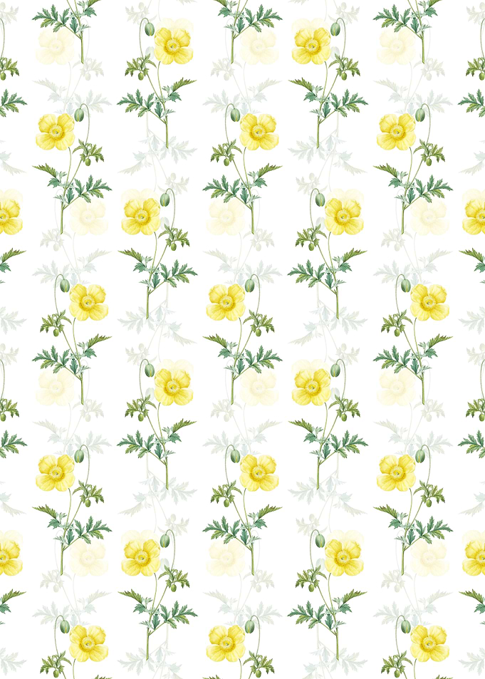 Floral Welsh Poppy Pattern