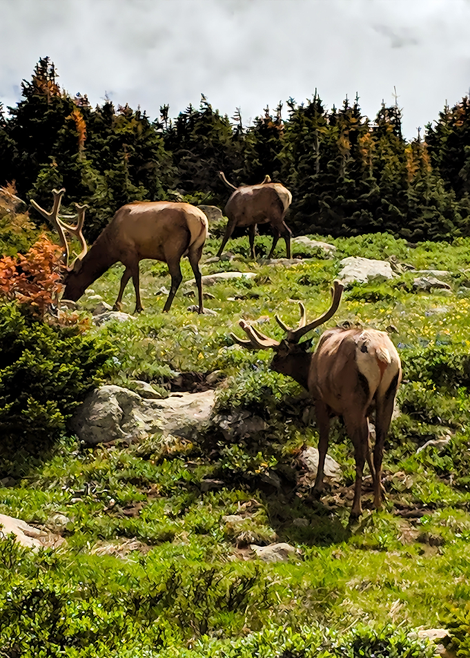 National Park
