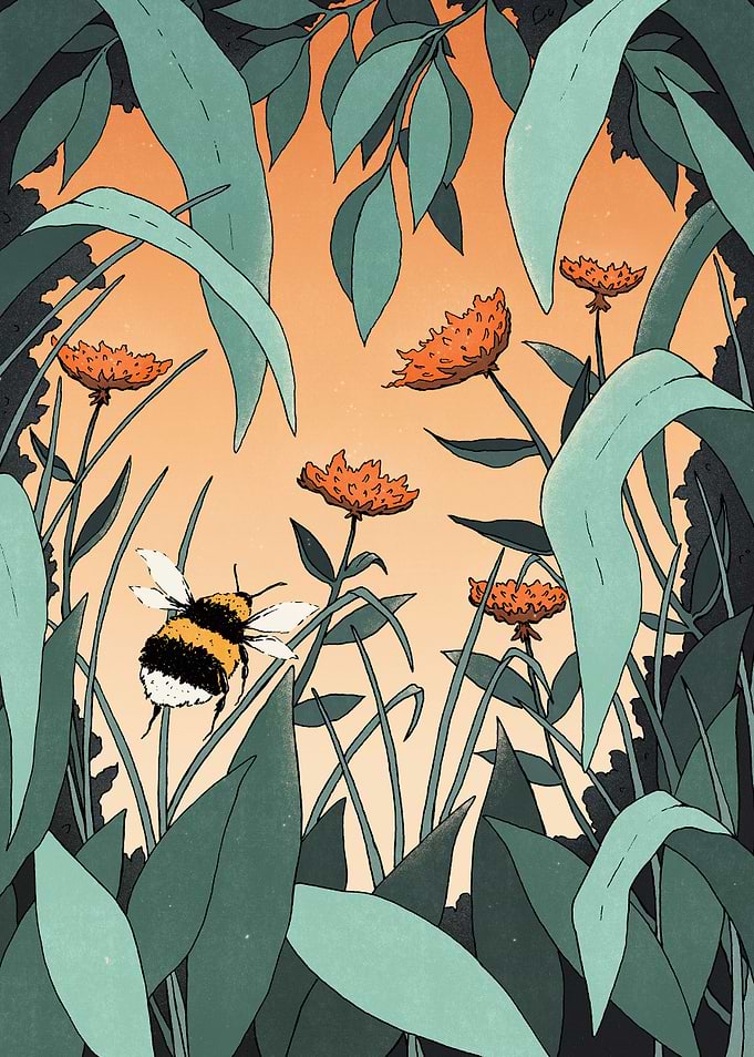 Bumblebee